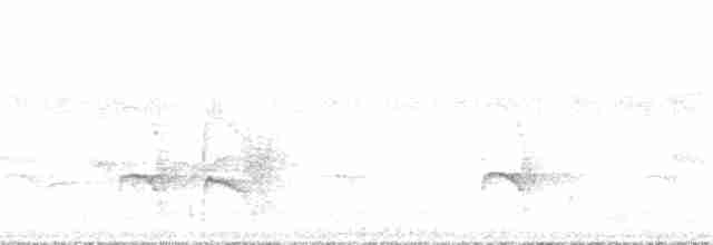 Weißstirn-Ameisenschnäpper - ML168618021