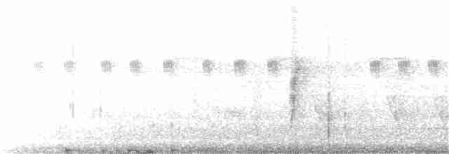 Тиранчик-тонкодзьоб південний - ML168618101
