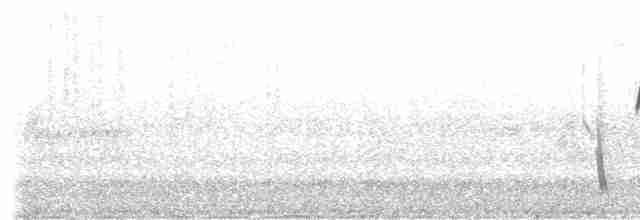 Chiguanco Thrush (anthracinus) - ML168627221