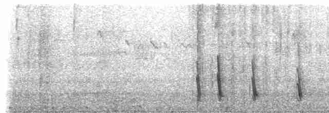 Chiguanco Thrush (anthracinus) - ML168628391