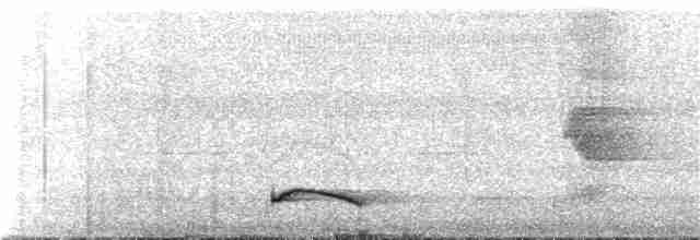 Long-tailed Manakin - ML168656231
