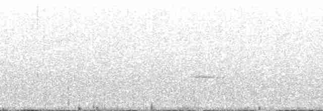 Tinamou des Andes - ML168664