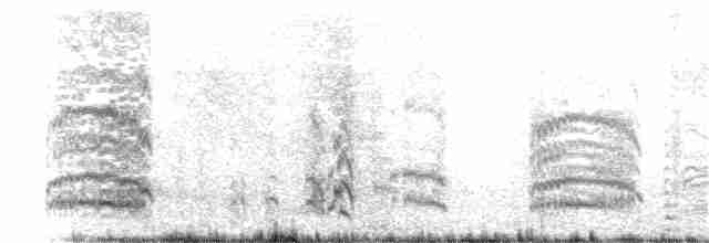 Белохвостая куропатка - ML168671981
