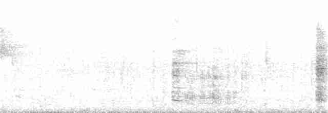 volavka bělolící - ML168672561