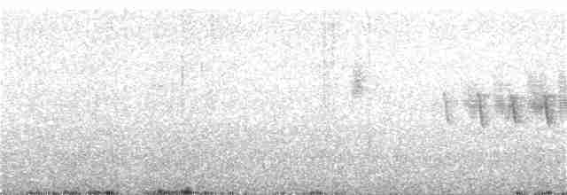 極北柳鶯 - ML168692521