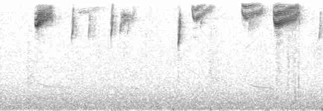 kullkronetanagar (atropileus) - ML168706