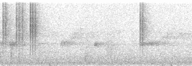 Bronz Küçük Tiran (annectens/berlepschi) - ML168713