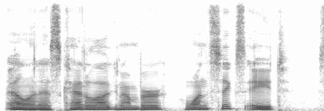 brundvergtyrann (annectens/berlepschi) - ML168714