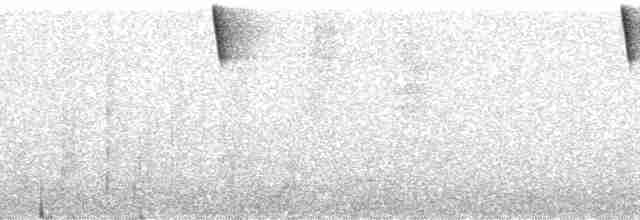 Colibri flavescent - ML168716