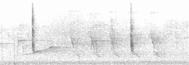 Common Yellowthroat - ML168736851