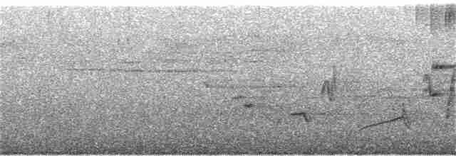 Oriole des vergers - ML168757921