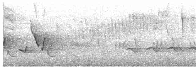 Каролинский крапивник - ML168758191