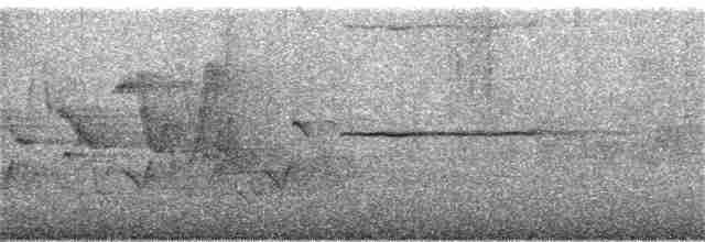 Ширококрылый канюк - ML168764381