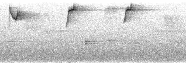 Ошейниковый кинжалоклюв - ML168783