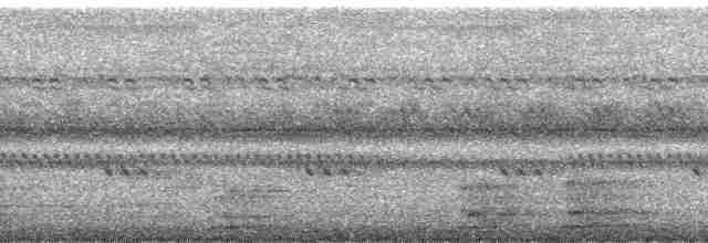 Large-tailed Nightjar - ML168798