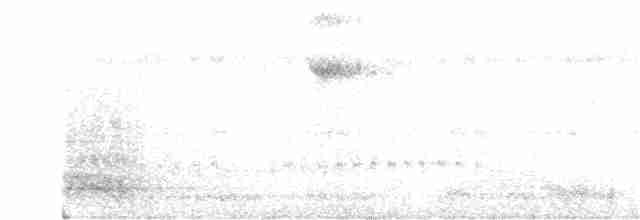 čačalaka bělobřichá - ML168805711