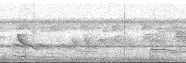 Iheringameisenschlüpfer (oreni) - ML168808