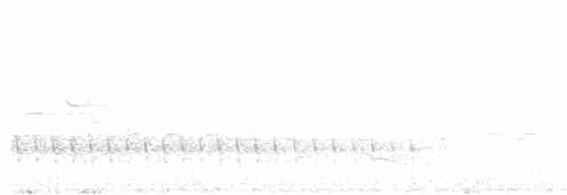 Origma des rochers - ML168808261