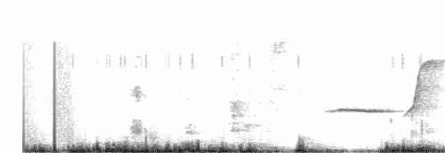 Schnäpperdickkopf - ML168812521