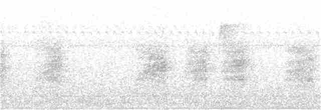 Каролинский крапивник - ML168814961