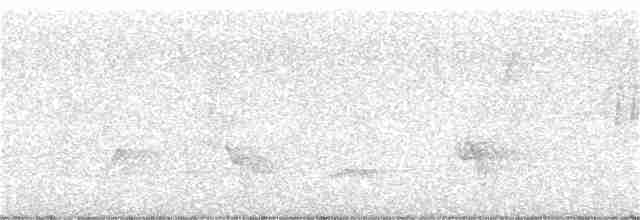 Slate-throated Redstart - ML168862181