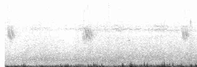 Mangrove Swallow - ML168869921