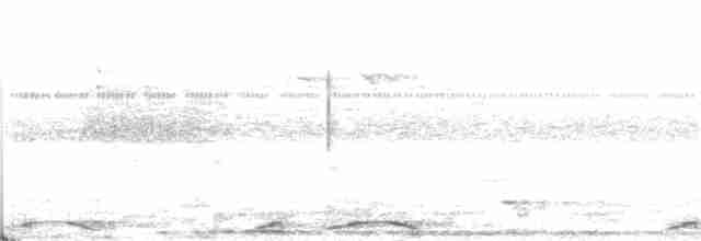 Каштановая длиннохвостая горлица - ML168910131