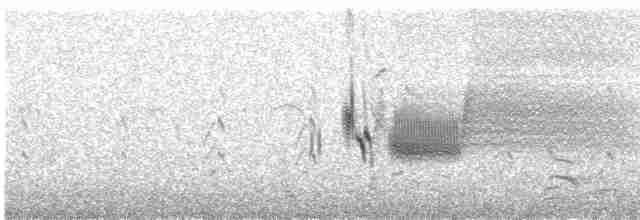 Приморская овсянка-барсучок (maritima/macgillivraii) - ML168966091