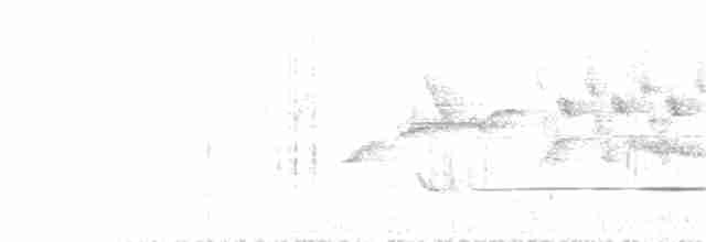 Brownish-flanked Bush Warbler - ML168996441