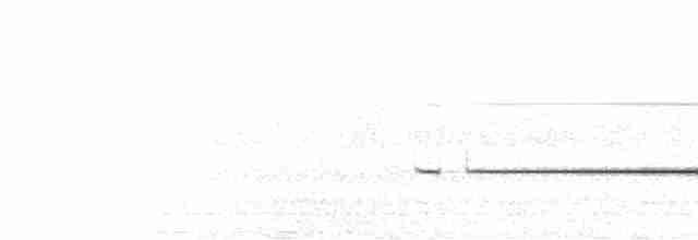Brownish-flanked Bush Warbler - ML168996571
