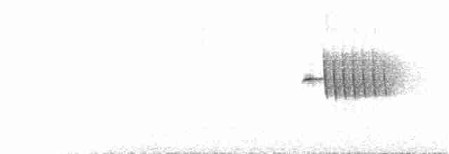 Weißbrauenschnäpper - ML168997321