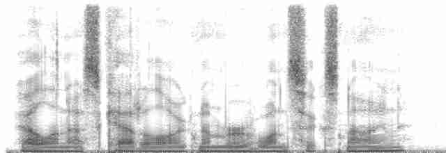 ML169007 visualization