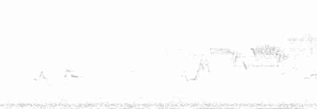 strnadec bělohrdlý - ML169021