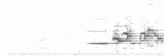 Дрізд-короткодзьоб плямистоволий - ML169023