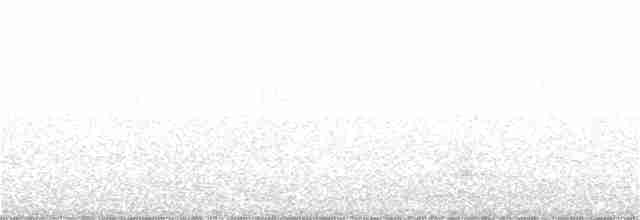 Gray Whistler - ML169027991