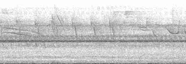 Sonnerat Yaprakkuşu - ML169054