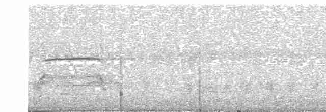 Краснохвостый канюк (kemsiesi/hadropus) - ML169073931