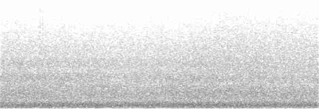 Kara Gözlü Junko (hyemalis/carolinensis) - ML169099541