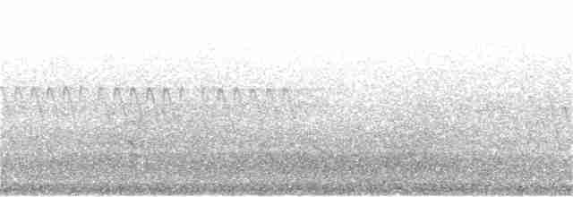 Kara Gözlü Junko (hyemalis/carolinensis) - ML169099651
