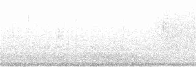 Kara Gözlü Junko (hyemalis/carolinensis) - ML169099691
