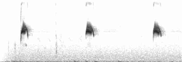 Каньонный крапивник - ML169123871