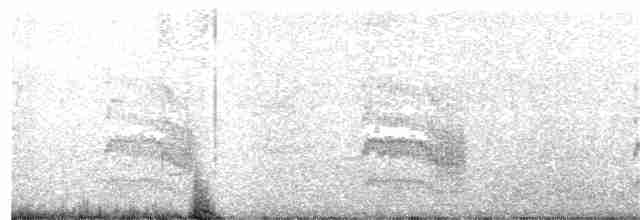 Common Tern - ML169144481