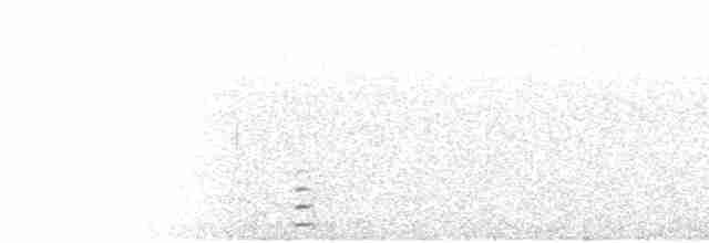 Lagopède à queue blanche - ML169191001