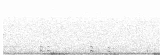 Lagopède à queue blanche - ML169191011