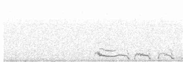 Куріпка білохвоста - ML169191091