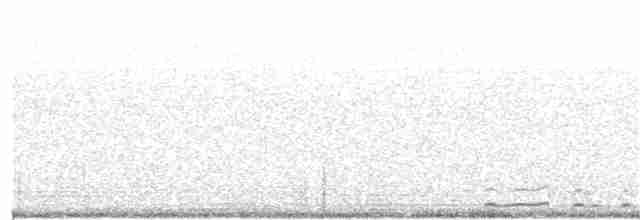 Lagopède à queue blanche - ML169191111