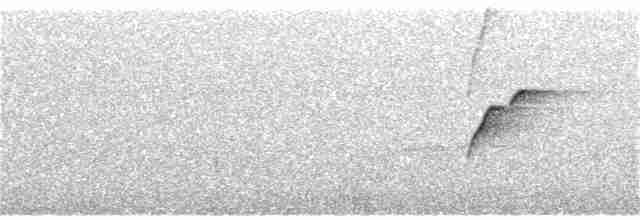 Batı Amerika Sinekkapanı (occidentalis/hellmayri) - ML169268531