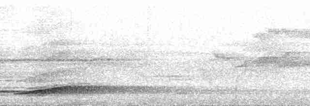 Серый павлиний фазан - ML169366