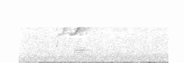 Einsiedelwasserläufer - ML169389661