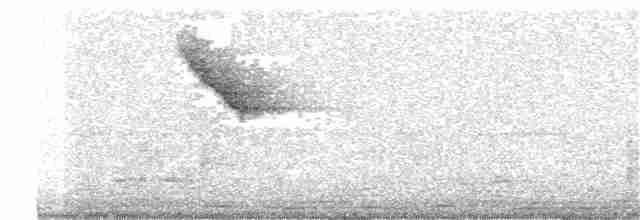 Fan-tailed Warbler - ML169391161